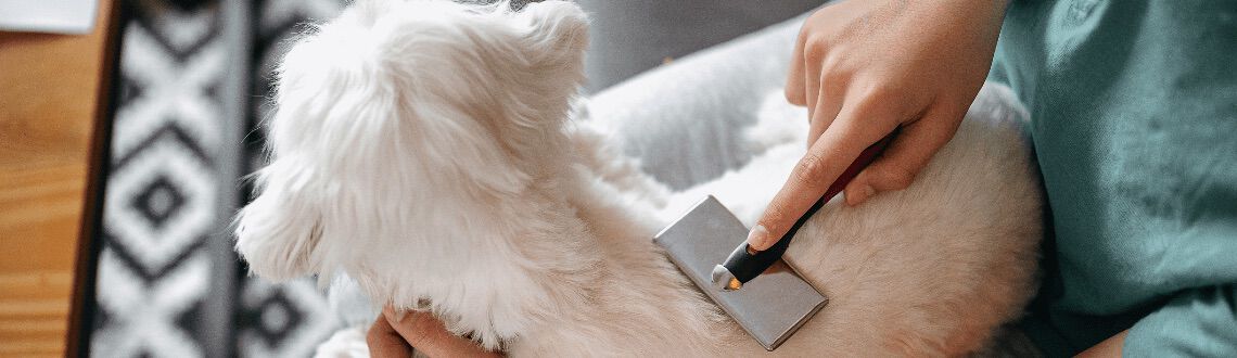 [paste advice page name here]